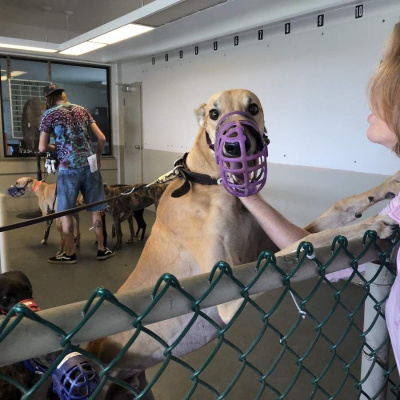 Lifes A Gamble Podcast