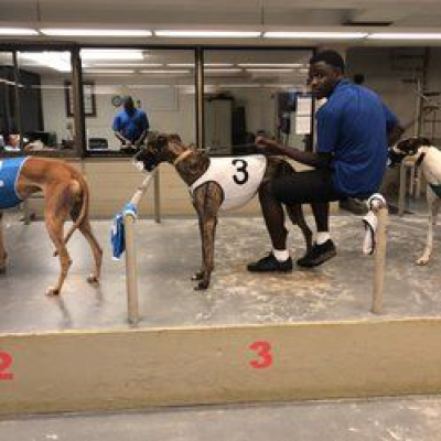 Lifes A Gamble Podcast