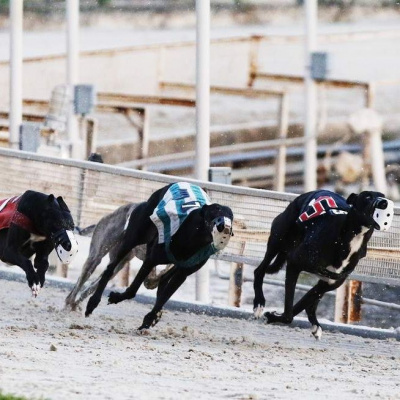 Lifes A Gamble Podcast