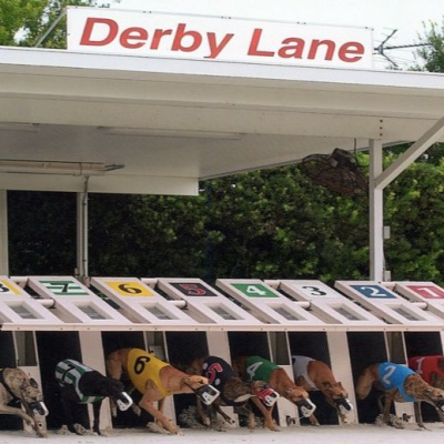 Lifes A Gamble Podcast