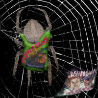 Ambitious Webs