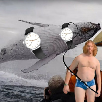 Watch Whaling