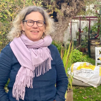 Gunnel odlar saffran i trädgården