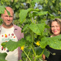 Därför vill restauranger odla själva