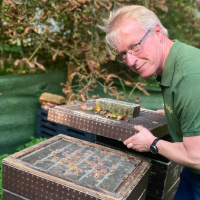 Det stora honungsfusket