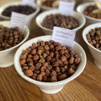 The return of Gråärt