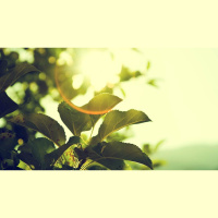 For His Sake and for Your Joy, Go Low