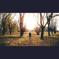 I Will Magnify Him with Thanksgiving