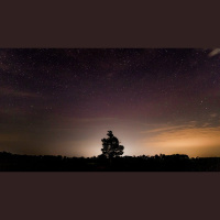 You Have the Words of Eternal Life