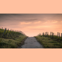 What Does It Mean to Fulfill the Law in Romans 8:3–4?