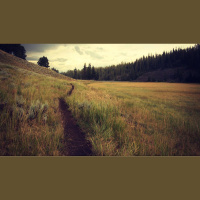 When Is Saving Repentance Impossible?