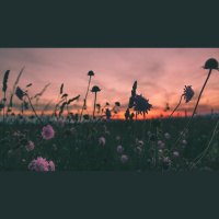 God’s Passion for His Glory