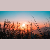 Ten Looks at Jesus, Part 2