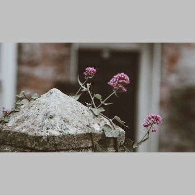 John Piper Sermons