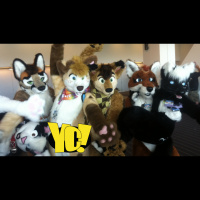 Dave Matthews Is A Furry