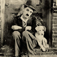 VIVI di CHARLIE CHAPLIN letta da Angelo Callipo