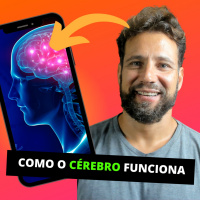 Como o Cérebro Funciona e como o Yoga melhora seu funcionamento