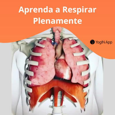 Yogin App - Yoga Online Interativo