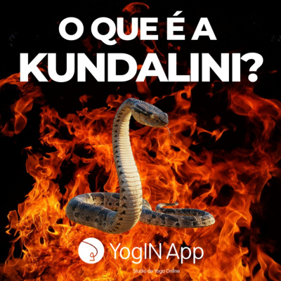 Yogin App - Yoga Online Interativo