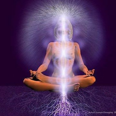 Yogin App - Yoga Online Interativo