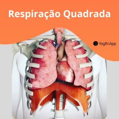 Yogin App - Yoga Online Interativo