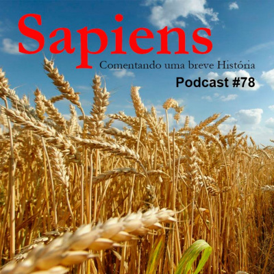 Yogin App - Yoga Online Interativo