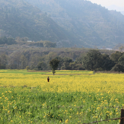 Yogin App - Yoga Online Interativo