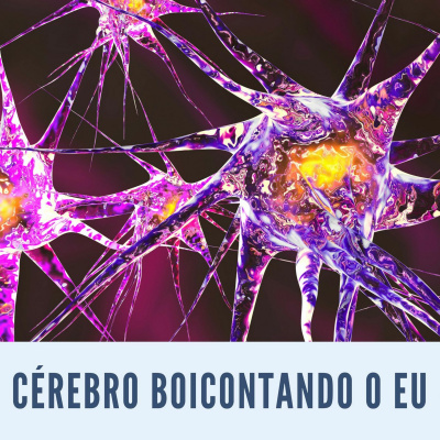 Yogin App - Yoga Online Interativo