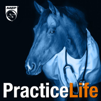Equine Telemedicine