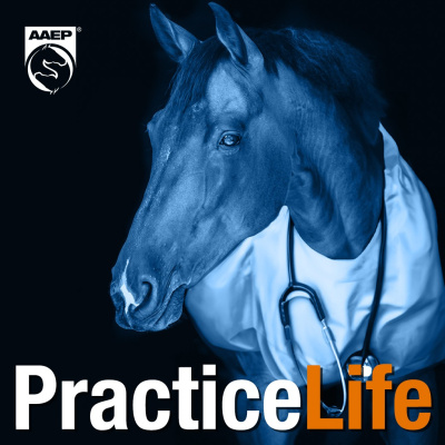 Aaep Practice Life