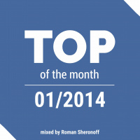 Top 10 of January 2014