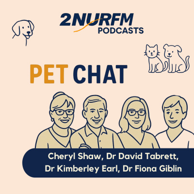 Pet Chat