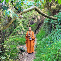 Podchat: A Review of Buddhas Cake by Seth Monk