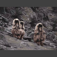 Tims Take On: Episode 325(Doctor Who: The Abominable Snowmen mini review)