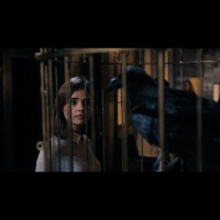 Tims Take On: Episode 306(Doctor Who: Face The Raven review)