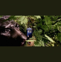 Tims Take On: Episode 250(Doctor Who: In The Forest of The Night)