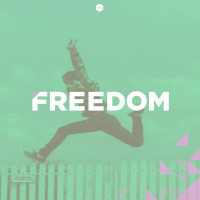 Gauges + Garnishes // Freedom part 9