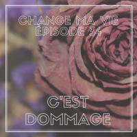 (034) Cest dommage