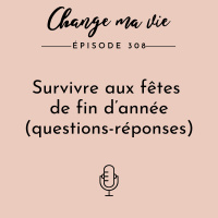 (308) Survivre aux fêtes de fin d’année (questions-réponses)