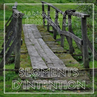 (029) Segments dintention