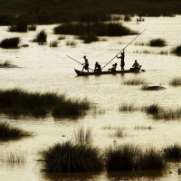 The Lost Sheep - Rajasthani Gujari.mp3