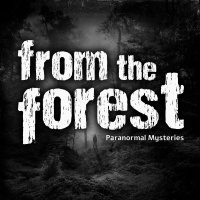 From The Forest: Shapeshifter in Vermont | 405