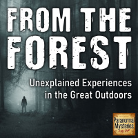 308: Something In The Wilderness Strange Phenomena  Missing People - Part 1
