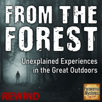 REWIND EP179: The Bigfoot Abduction Of Albert Ostman | Paranormal Mysteries