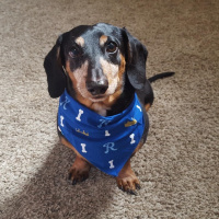 For Jack aka Schweenis