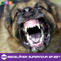 257 - Brooks was here