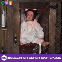 236 - Look at me Damien, its all for you