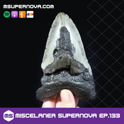 Miscelanea Supernova