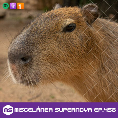 Miscelanea Supernova