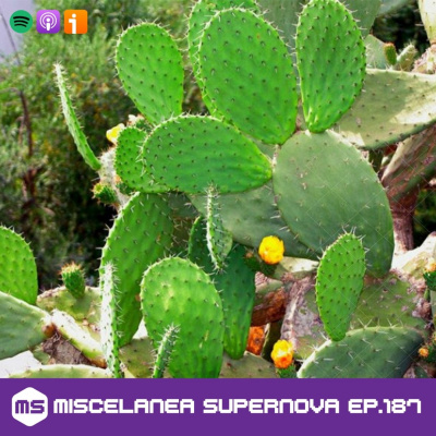 Miscelanea Supernova